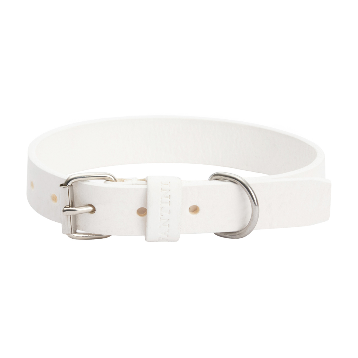 Collier pour chien en cuir Essential