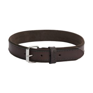 Collier pour chien en cuir Regal