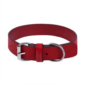 Collier pour chien en cuir Sprint