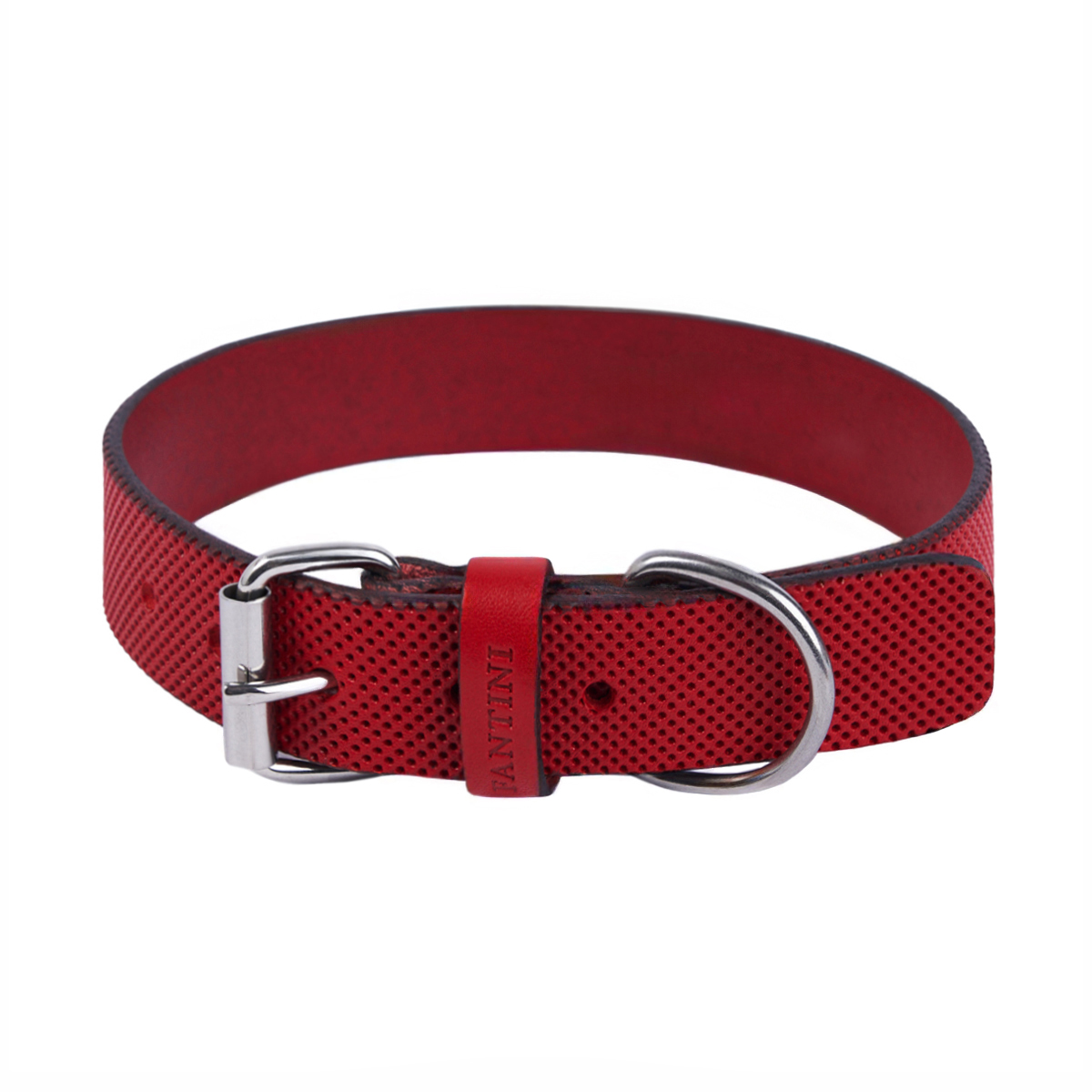Collier pour chien en cuir Sprint – Image 2