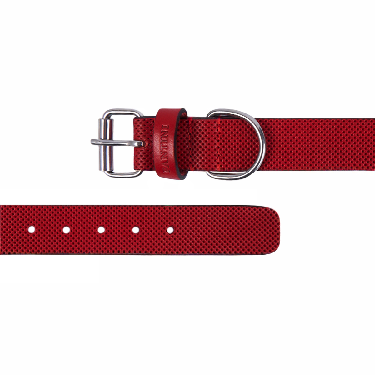 Collier pour chien en cuir Sprint – Image 3