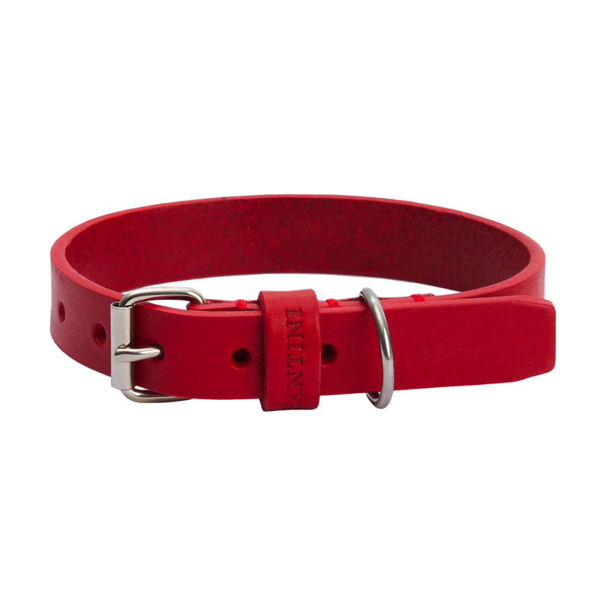 Collier pour chien en cuir Essential