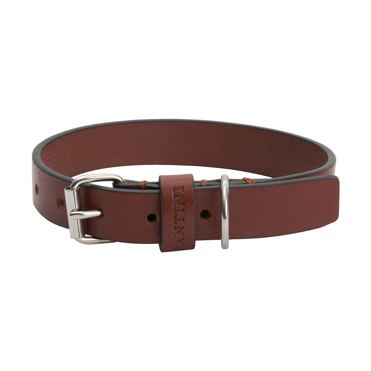 Collier pour chien en cuir Essential