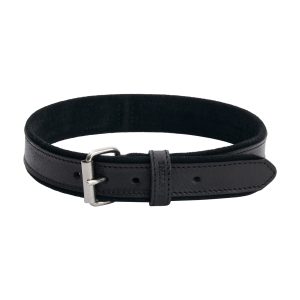 Collier pour chien en cuir Regal