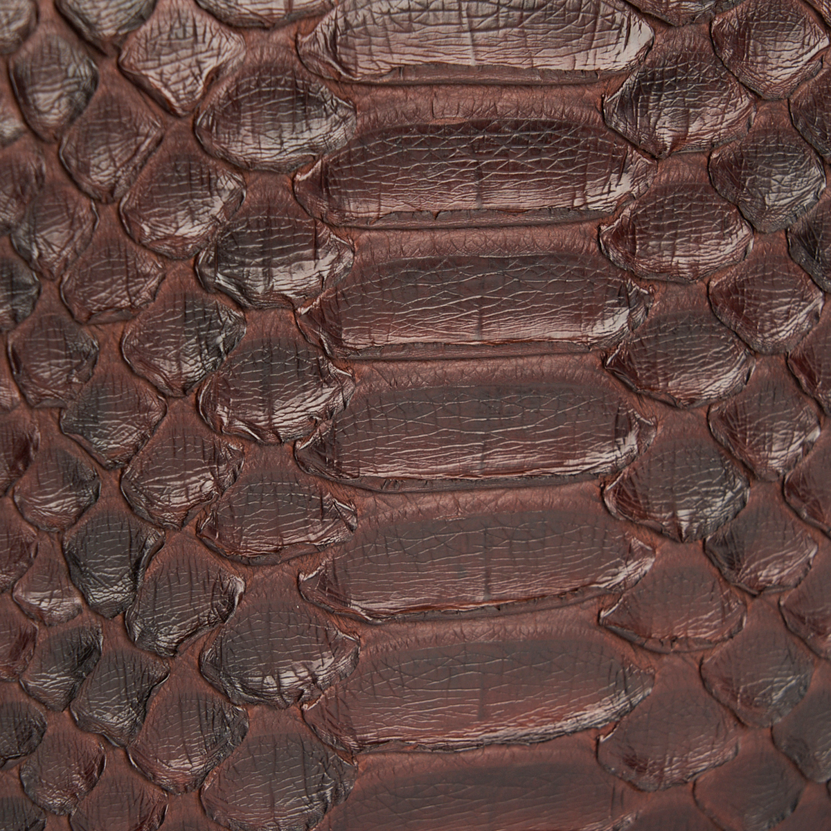 Trousse de toilette en peau de python Eclisse – Image 6