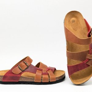 Moinillon Rouge et Marron